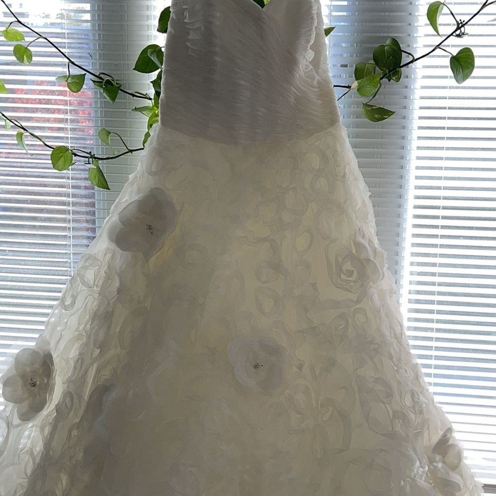 Wedding Dress - Picture 7 of 15